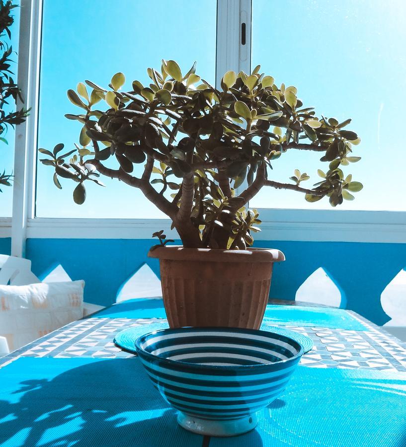 Tamraght Ou Fella Surf & Yoga Paradise Morocco 호스텔 외부 사진